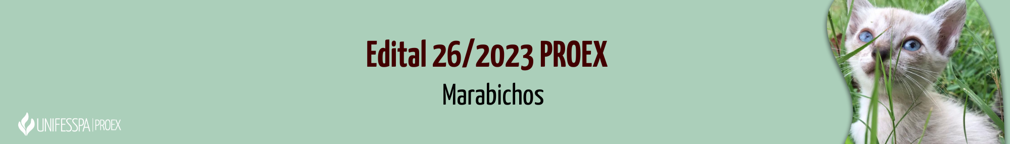 _e-mail marabichos 2023.png