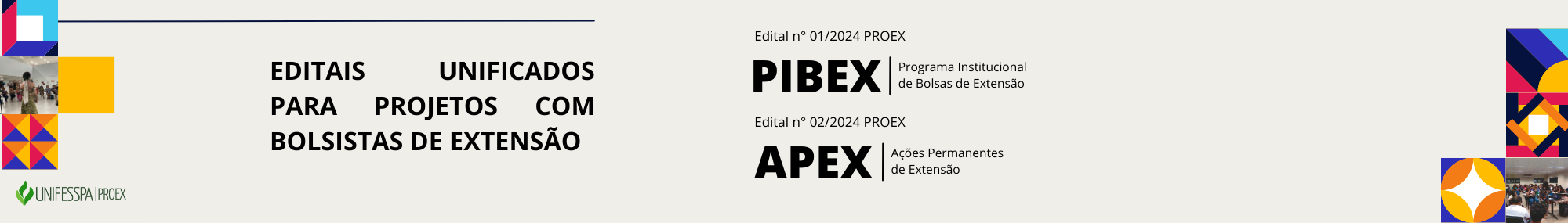 _e-mail pibex 2024.png